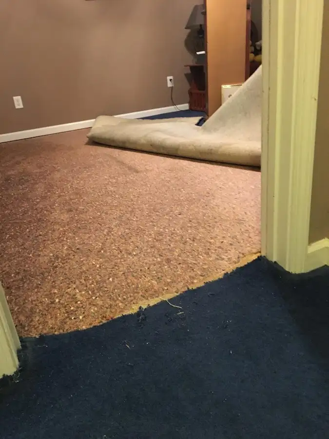 Carpet pad removal revealing water damage during Water Mitigation Services in Sartell