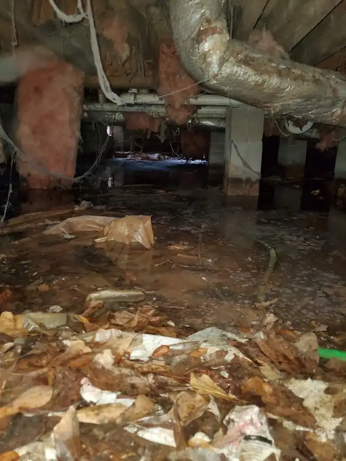 Crawl space flood assessment for Leak Detection & Repair in Sartell